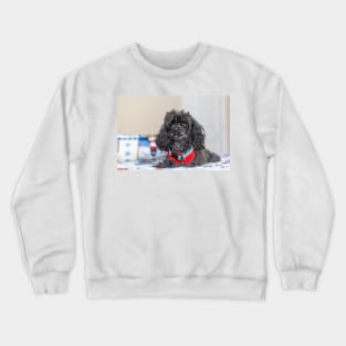 Lap Dog Crewneck Sweatshirt